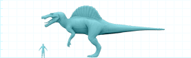 Størrelsesforhold mellem en Spinosaurus og et menneske