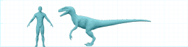 Størrelsesforhold mellem en Velociraptor og et menneske