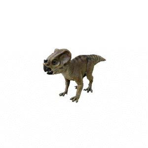 Aquilops