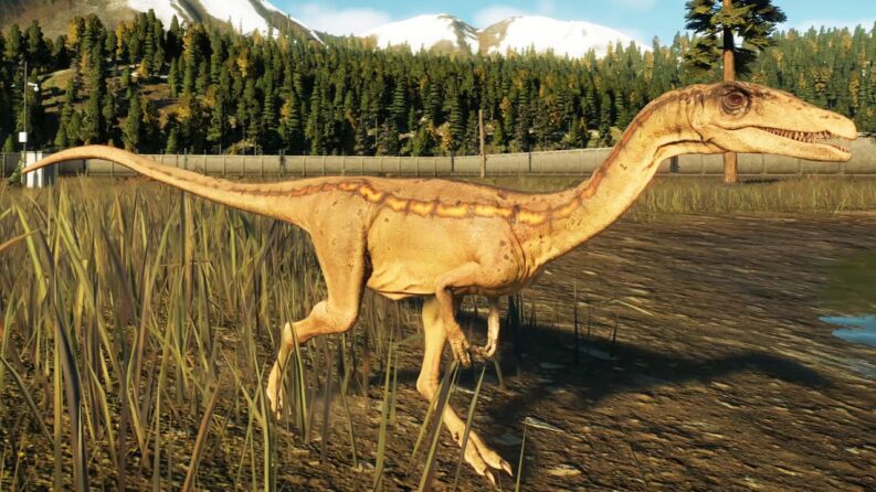 Coelophysis