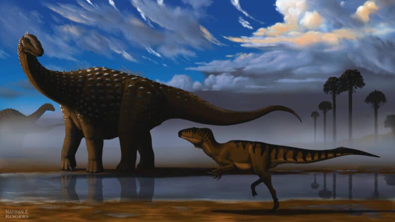 Diamantinasaurus