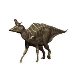 Lambeosaurus