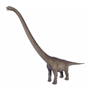 Mamenchisaurus