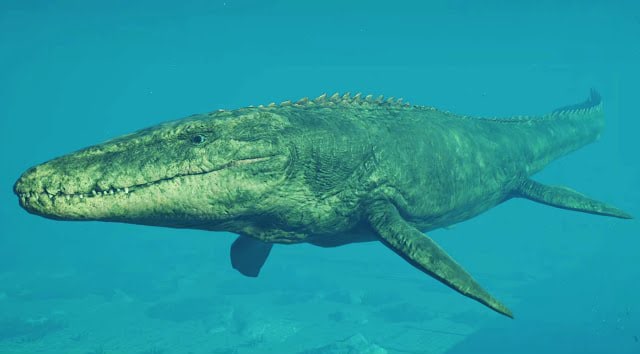 Mosasaurus
