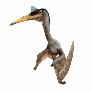 Quetzalcoatlus